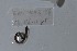  ( - EW-NOU2-154)  @12 [ ] Copyright (2011) Thibaud Decaens Laboratoire ECODIV, Univ Rouen