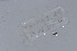  ( - EW-NOU2-165)  @12 [ ] Copyright (2011) Thibaud Decaens Laboratoire ECODIV, Univ Rouen