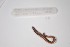  ( - EW-NOU2-019)  @12 [ ] Copyright (2011) Thibaud Decaens Laboratoire ECODIV, Univ Rouen