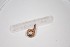  ( - EW-NOU2-020)  @12 [ ] Copyright (2011) Thibaud Decaens Laboratoire ECODIV, Univ Rouen