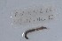 ( - EW-NOU2-221)  @12 [ ] Copyright (2011) Thibaud Decaens Laboratoire ECODIV, Univ Rouen