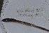  ( - EW-NOU2-227)  @12 [ ] Copyright (2011) Thibaud Decaens Laboratoire ECODIV, Univ Rouen