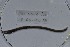  ( - EW-NOU2-230)  @12 [ ] Copyright (2011) Thibaud Decaens Laboratoire ECODIV, Univ Rouen