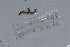  ( - EW-NOU2-241)  @12 [ ] Copyright (2011) Thibaud Decaens Laboratoire ECODIV, Univ Rouen