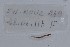  ( - EW-NOU2-249)  @12 [ ] Copyright (2011) Thibaud Decaens Laboratoire ECODIV, Univ Rouen