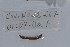  ( - EW-NOU2-267)  @12 [ ] Copyright (2011) Thibaud Decaens Laboratoire ECODIV, Univ Rouen