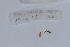  ( - EW-NOU2-307)  @12 [ ] Copyright (2011) Thibaud Decaens Laboratoire ECODIV, Univ Rouen