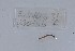  ( - EW-NOU2-317)  @12 [ ] Copyright (2011) Thibaud Decaens Laboratoire ECODIV, Univ Rouen