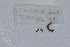  ( - EW-NOU2-328)  @12 [ ] Copyright (2011) Thibaud Decaens Laboratoire ECODIV, Univ Rouen