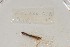  ( - EW-NOU2-038)  @12 [ ] Copyright (2011) Thibaud Decaens Laboratoire ECODIV, Univ Rouen