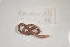  ( - EW-NOU2-073)  @12 [ ] Copyright (2011) Thibaud Decaens Laboratoire ECODIV, Univ Rouen