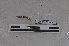  ( - EW-PNPC-0051)  @11 [ ] CreativeCommons - Attribution Non-Commercial Share-Alike (2018) Thibaud Decaens CEFE Lab