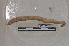  ( - EW-PNPC-0305)  @11 [ ] CreativeCommons - Attribution Non-Commercial Share-Alike (2018) Thibaud Decaens CEFE Lab