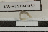  ( - EW-RES19-0032)  @11 [ ] CreativeCommons - Attribution  CBG Photography Group Centre for Biodiversity Genomics