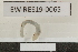  ( - EW-RES19-0065)  @11 [ ] CreativeCommons - Attribution  CBG Photography Group Centre for Biodiversity Genomics