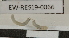  ( - EW-RES19-0066)  @11 [ ] CreativeCommons - Attribution  CBG Photography Group Centre for Biodiversity Genomics