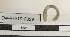  ( - EW-RES19-0099)  @11 [ ] CreativeCommons - Attribution  CBG Photography Group Centre for Biodiversity Genomics