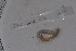  ( - EW_SAV_012)  @13 [ ] Copyright (2012) Thibaud Decaens Laboratoire ECODIV, Univ Rouen