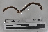  ( - EW-MI15-0021)  @12 [ ] CreativeCommons - Attribution Non-Commercial Share-Alike (2015) Thibaud Decaens Universite Montpellier, CEFE Lab
