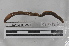  ( - EW-MI15-0022)  @13 [ ] CreativeCommons - Attribution Non-Commercial Share-Alike (2015) Thibaud Decaens Universite Montpellier, CEFE Lab