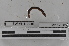  ( - EW-MI15-0035)  @12 [ ] CreativeCommons - Attribution Non-Commercial Share-Alike (2015) Thibaud Decaens Universite Montpellier, CEFE Lab