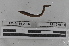  ( - EW-MI15-0096)  @12 [ ] CreativeCommons - Attribution Non-Commercial Share-Alike (2015) Thibaud Decaens Universite Montpellier, CEFE Lab
