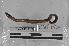  ( - EW-MI15-0129)  @12 [ ] CreativeCommons - Attribution Non-Commercial Share-Alike (2015) Thibaud Decaens Universite Montpellier, CEFE Lab