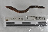  ( - EW-MI15-0136)  @12 [ ] CreativeCommons - Attribution Non-Commercial Share-Alike (2015) Thibaud Decaens Universite Montpellier, CEFE Lab