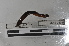 ( - EW-MI15-0137)  @12 [ ] CreativeCommons - Attribution Non-Commercial Share-Alike (2015) Thibaud Decaens Universite Montpellier, CEFE Lab