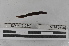  ( - EW-MI15-0142)  @12 [ ] CreativeCommons - Attribution Non-Commercial Share-Alike (2015) Thibaud Decaens Universite Montpellier, CEFE Lab