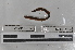  ( - EW-MI15-0143)  @12 [ ] CreativeCommons - Attribution Non-Commercial Share-Alike (2015) Thibaud Decaens Universite Montpellier, CEFE Lab