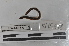  ( - EW-MI15-0145)  @12 [ ] CreativeCommons - Attribution Non-Commercial Share-Alike (2015) Thibaud Decaens Universite Montpellier, CEFE Lab
