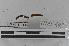  ( - EW-MI15-0146)  @12 [ ] CreativeCommons - Attribution Non-Commercial Share-Alike (2015) Thibaud Decaens Universite Montpellier, CEFE Lab