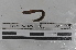  ( - EW-MI15-0160)  @12 [ ] CreativeCommons - Attribution Non-Commercial Share-Alike (2015) Thibaud Decaens Universite Montpellier, CEFE Lab