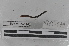  ( - EW-MI15-0162)  @12 [ ] CreativeCommons - Attribution Non-Commercial Share-Alike (2015) Thibaud Decaens Universite Montpellier, CEFE Lab