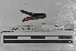  ( - EW-MI15-0163)  @12 [ ] CreativeCommons - Attribution Non-Commercial Share-Alike (2015) Thibaud Decaens Universite Montpellier, CEFE Lab
