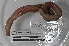  ( - EW-MI15-0176)  @12 [ ] CreativeCommons - Attribution Non-Commercial Share-Alike (2015) Thibaud Decaens Universite Montpellier, CEFE Lab