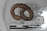  ( - EW-MI15-0177)  @12 [ ] CreativeCommons - Attribution Non-Commercial Share-Alike (2015) Thibaud Decaens Universite Montpellier, CEFE Lab