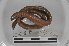  (Martiodrilus sp. TD085 - EW-MI15-0195)  @13 [ ] CreativeCommons - Attribution Non-Commercial Share-Alike (2015) Thibaud Decaens Universite Montpellier, CEFE Lab