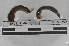 ( - EW-MI15-0238)  @12 [ ] CreativeCommons - Attribution Non-Commercial Share-Alike (2015) Thibaud Decaens Universite Montpellier, CEFE Lab
