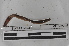  ( - EW-MI15-0246)  @12 [ ] CreativeCommons - Attribution Non-Commercial Share-Alike (2015) Thibaud Decaens Universite Montpellier, CEFE Lab