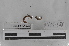  ( - EW-MI15-0247)  @12 [ ] CreativeCommons - Attribution Non-Commercial Share-Alike (2015) Thibaud Decaens Universite Montpellier, CEFE Lab
