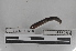  ( - EW-MI15-0258)  @12 [ ] CreativeCommons - Attribution Non-Commercial Share-Alike (2015) Thibaud Decaens Universite Montpellier, CEFE Lab