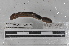  ( - EW-MI15-0259)  @12 [ ] CreativeCommons - Attribution Non-Commercial Share-Alike (2015) Thibaud Decaens Universite Montpellier, CEFE Lab