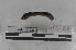  ( - EW-MI15-0260)  @12 [ ] CreativeCommons - Attribution Non-Commercial Share-Alike (2015) Thibaud Decaens Universite Montpellier, CEFE Lab