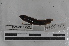  ( - EW-MI15-0261)  @12 [ ] CreativeCommons - Attribution Non-Commercial Share-Alike (2015) Thibaud Decaens Universite Montpellier, CEFE Lab