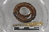  ( - EW-MI15-0284)  @13 [ ] CreativeCommons - Attribution Non-Commercial Share-Alike (2015) Thibaud Decaens Universite Montpellier, CEFE Lab
