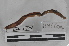  ( - EW-MI15-0303)  @13 [ ] CreativeCommons - Attribution Non-Commercial Share-Alike (2015) Thibaud Decaens Universite Montpellier, CEFE Lab