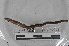 ( - EW-MI15-0362)  @12 [ ] CreativeCommons - Attribution Non-Commercial Share-Alike (2015) Thibaud Decaens Universite Montpellier, CEFE Lab