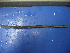  ( - Aas-21)  @12 [ ] CreativeCommons - Attribution Non-Commercial Share-Alike (2010) Unspecified The Research Collection of Chih-Han Chang